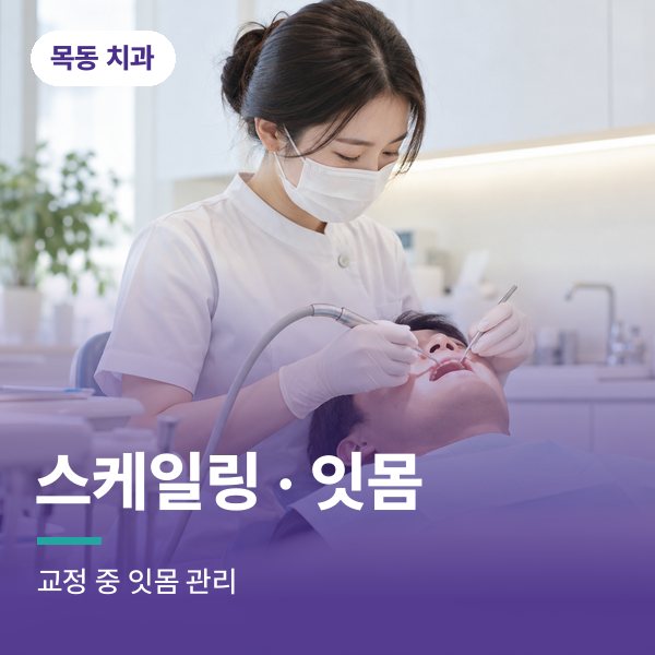 스케일링 · 잇몸